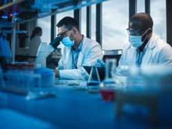 2025 Coimbra Group Scholarship Programme: Main results Overview
